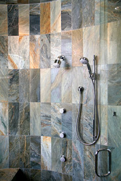 multi-head shower system